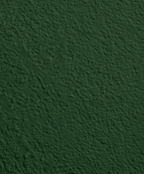 Wandfarbe Premium Grün (Pine Shadow)