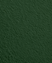 Wandfarbe Premium Grün (Pine Shadow)