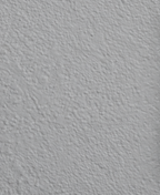 Wandfarbe Premium Grau (Moonlight Grey)