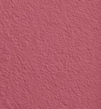 Wandfarbe Premium Rosa (Dusty Rosewood)