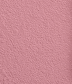 Wandfarbe Premium Rosa (Powder Blush)