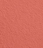 Wandfarbe Premium Rot (Soft Coral)