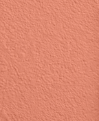 Wandfarbe Premium Orange (Warm Salmon)