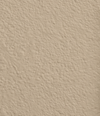 Wandfarbe Premium Beige (Desert Linen)
