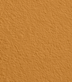 Wandfarbe Premium Orange (Burnt Honey)