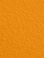 Wandfarbe Premium Orange (Deep Saffron)