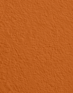 Wandfarbe Premium Orange (Spiced Orange)