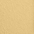 Wandfarbe Premium Gelb (Light Maize)
