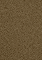 Wandfarbe Premium Braun (Moss Brown)