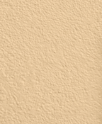 Wandfarbe Premium Beige (Vanilla Sand)