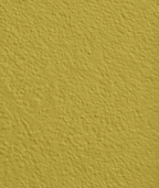 Wandfarbe Premium Gold (Golden Olive)
