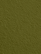 Wandfarbe Premium Grün (Olive Bark)