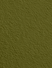Wandfarbe Premium Grün (Olive Bark)