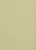 Wandfarbe Premium Grün (Pale Straw)