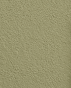 Wandfarbe Premium Grün (Soft Lichen)