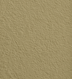 Wandfarbe Premium Grün (Warm Khaki)