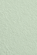 Wandfarbe Premium Grün (Pale Sage)