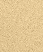 Wandfarbe Premium Gold (Golden Mustard)