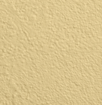 Wandfarbe Premium Gelb (Harvest Yellow)