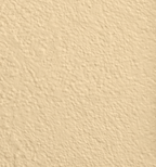 Wandfarbe Premium Gold (Soft Marigold)