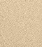 Wandfarbe Premium Gold (Warm Ochre)