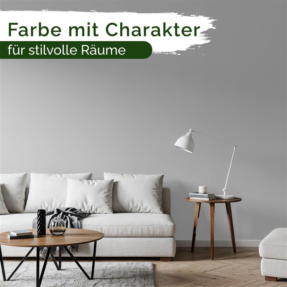 Wandfarbe Premium Grau (Cool Grey)