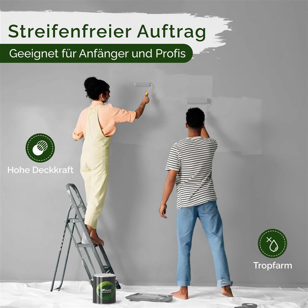 Wandfarbe Premium Grau (Cool Grey)