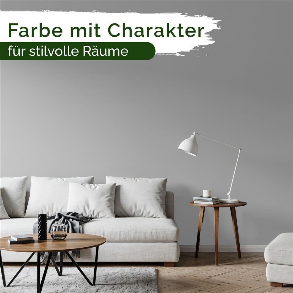 Wandfarbe Premium Grau (Moonlight Grey)