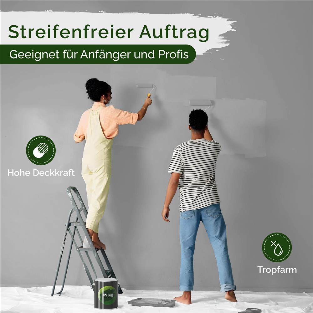 Wandfarbe Premium Grau (Moonlight Grey)