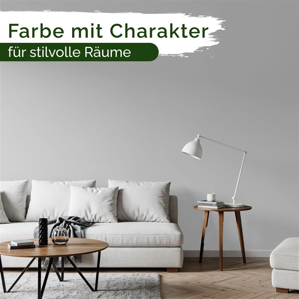 Wandfarbe Premium Grau (Stoneleaf)