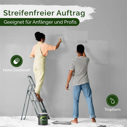 Wandfarbe Premium Grau (Stoneleaf)