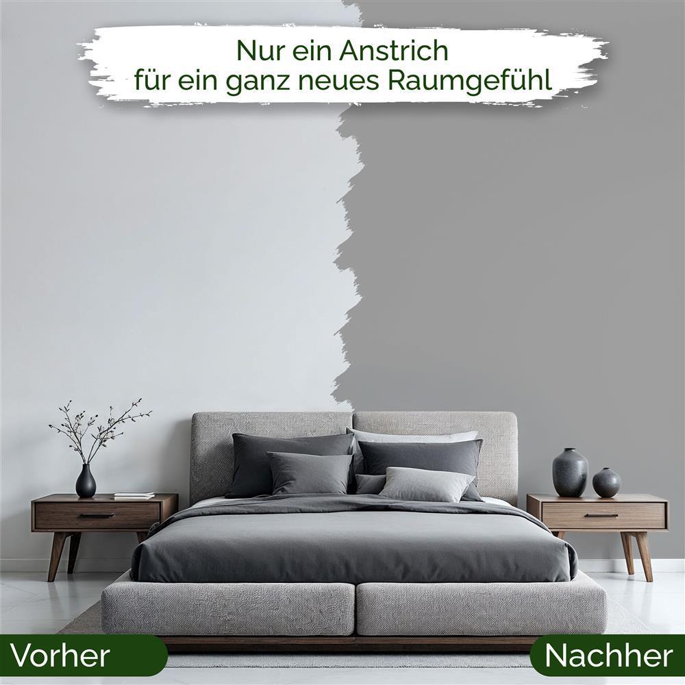 Wandfarbe Premium Grau (Stoneleaf)