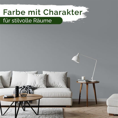 Wandfarbe Premium Grau (Shadow Steel)