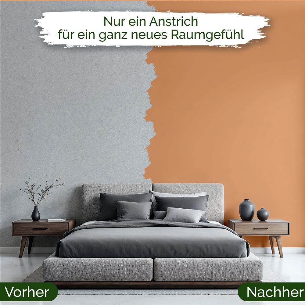 Wandfarbe Premium Orange (Soft Apricot)