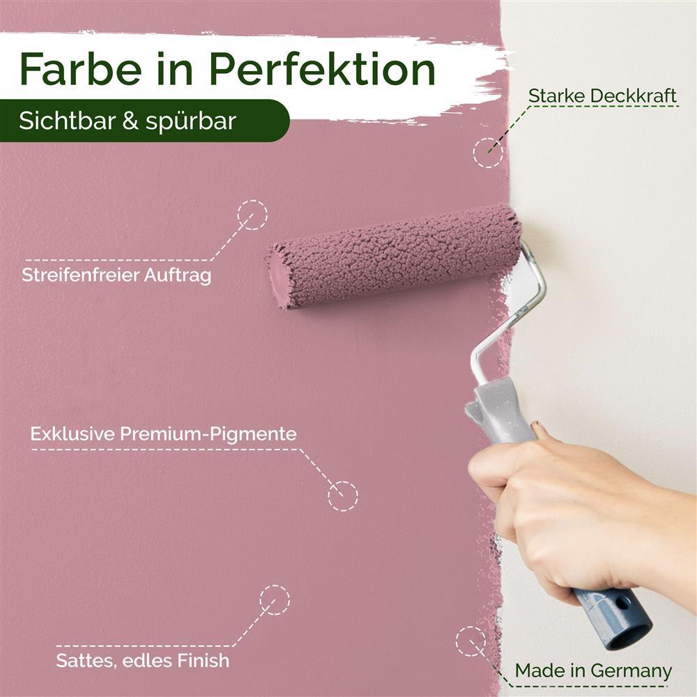 Wandfarbe Premium Rosa (Powder Blush)