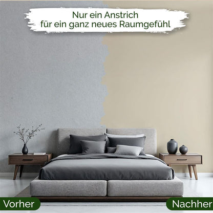 Wandfarbe Premium Beige (Oat Beige)
