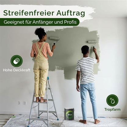 Wandfarbe Premium Grün (Moss Stone)