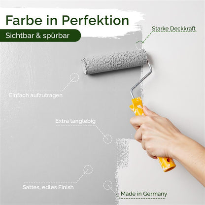Wandfarbe Universal Grau (Sprat Fish)