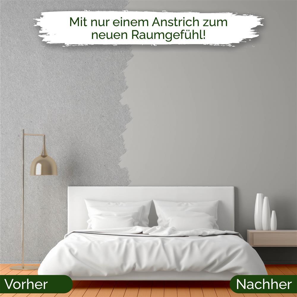 Wandfarbe Universal Grau (Attractive Anchovies)