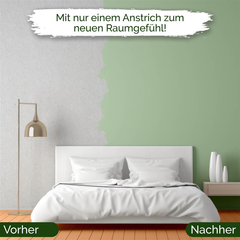 Wandfarbe Universal Grün (Woodruff Cream)