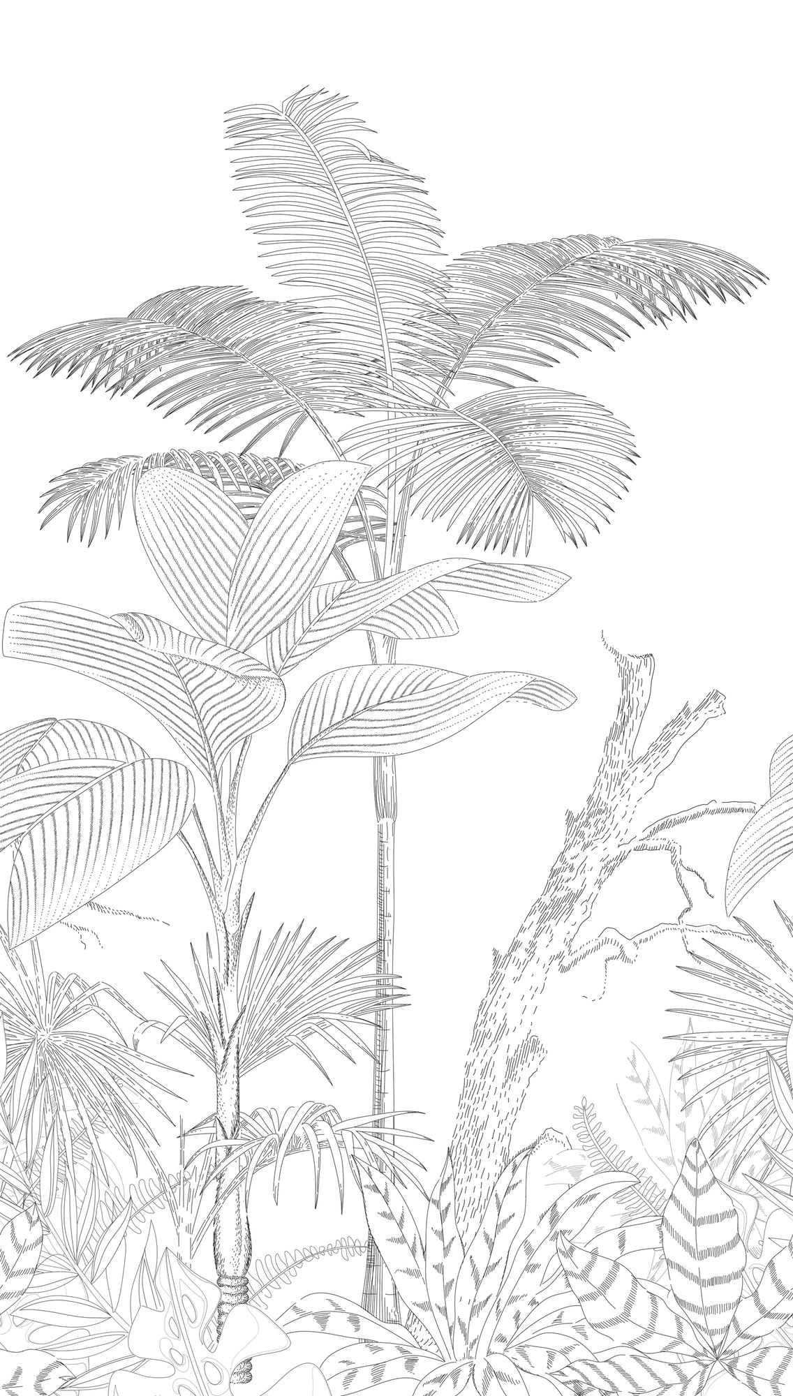 Fototapete Tropische Pflanzen – 2,80 m x 1,59 m