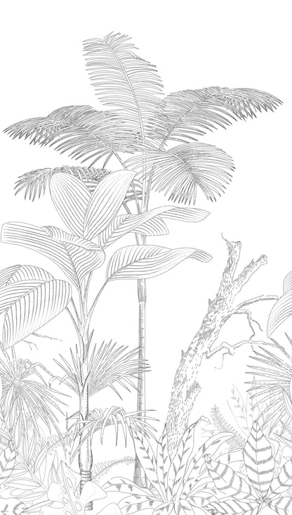 Fototapete Tropische Pflanzen – 2,80 m x 1,59 m