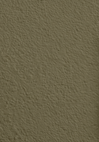 Wandfarbe Universal Grün (Ordinary Olive)
